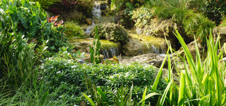 Tropical plants landscape  with small waterfallの写真素材