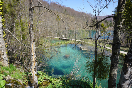 Beautiful landscape along the way in Plitvice lake national park , Croatia in aprilのeditorial素材