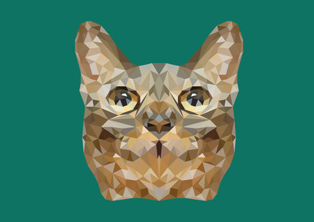 Abstract of Cat head shot low poly vector with green backgroundのイラスト素材