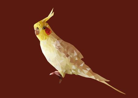 Abstract of yellow Cockatiel low poly vector with red background.のイラスト素材