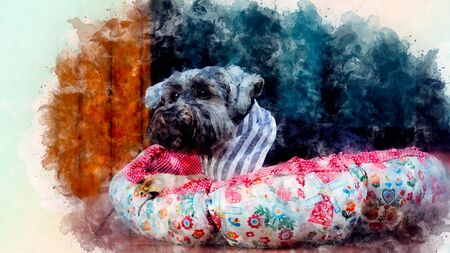 Cute little black color mixed breed dog wearing bandana lying down in dog pouf on the timber terrace outdoor, Digital paintの写真素材