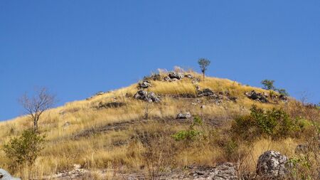 Beautiful panoramic view of golden field over the hill at Khao Lon Nakon Nayok Thailand                           の写真素材