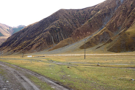 Beautiful autumn mountain landscape of the Caucasus mountain range at Truso valley in Kazbegi, Georgia.の写真素材
