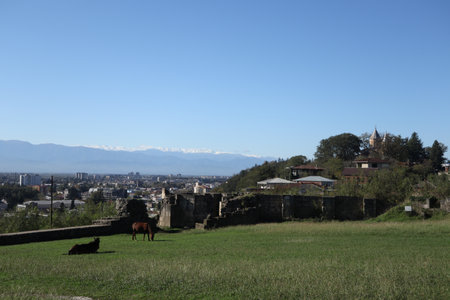 Horse relexing on the hill with old ruined and city backgroundの写真素材