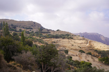 Treking route of beautiful meadow landscape with mountain background in Dana Valley, Jordanの写真素材