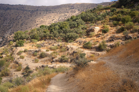 Treking route of beautiful meadow landscape with mountain background in Dana Valley, Jordanの写真素材