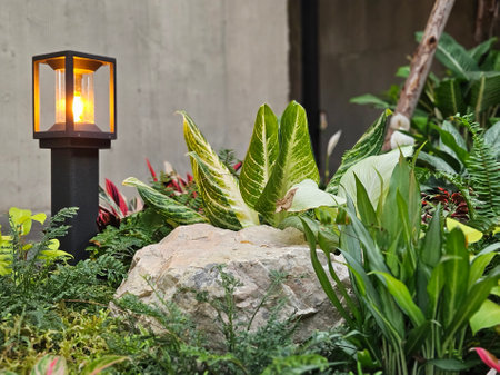 Outdoor lighting pole with green tropical garden and gravel floor.の写真素材