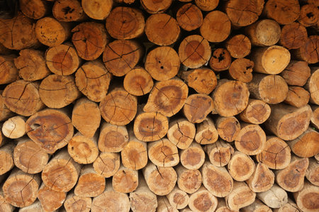 A Pile of Natural Wooden Logs; Abstract background of a pile of brown wooded logs