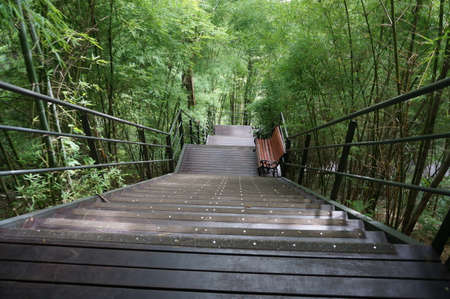 Landscape of wooden stairsの写真素材