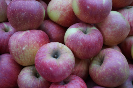 Close up of photo of very fresh red apples background