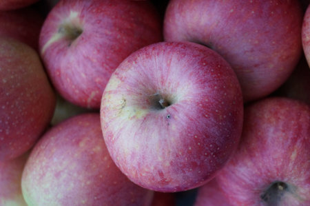 Close up of photo of very fresh red apples background