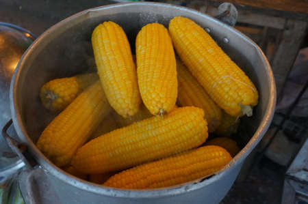Boiling sweet corn in the potの写真素材
