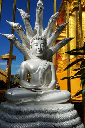 Beautiful stone Buddha with seven head of jiant snake king cover over headの写真素材