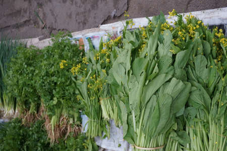 Pile of vegetables on streetの写真素材