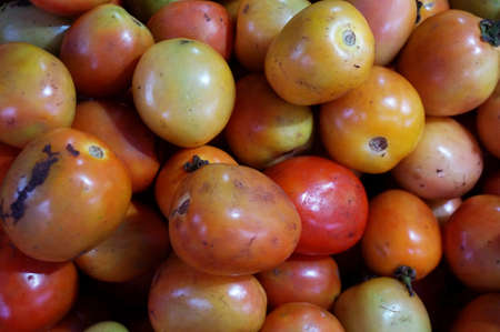 Close up of photo of very fresh colorful tomatoes backgroundの写真素材