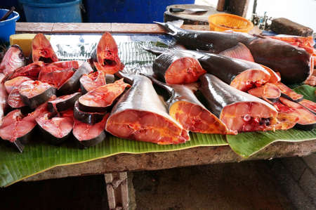 Pieces of fresh Pangasius fish that were cut for sale in asian marketの写真素材