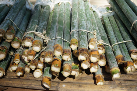 A photo of bamboo rice on bamboo table, a traditional sweets dessert in thailandの写真素材