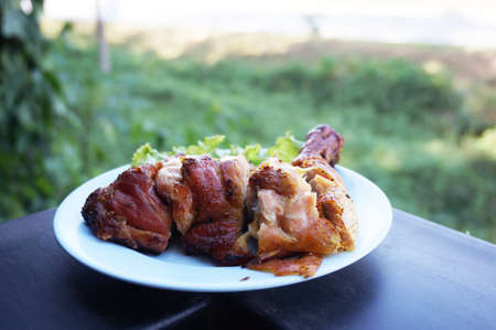 Grilled chicken and vegetables on blue plate on natural backgroundの写真素材