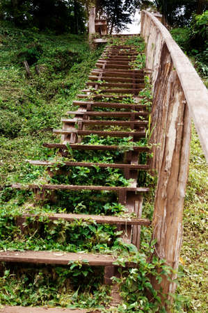 Landscape of old wooden stairs in the forest at western of Thailand, outdoor の写真素材