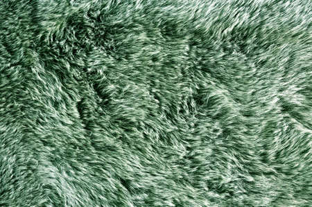 Green fabric carpet with long pile texture backgroundの写真素材