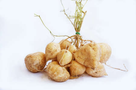 Group of Jicama or Yam Bean isolated on white backgroundの写真素材
