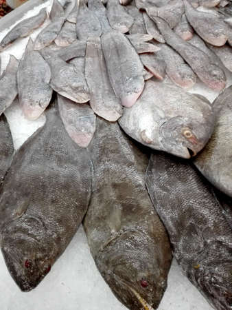 Fresh Various fishes, Giant Seaperch ( barramundi, silver perch, white perch, Lates calcarifer ) and another on ice for sale in the fresh marketの写真素材