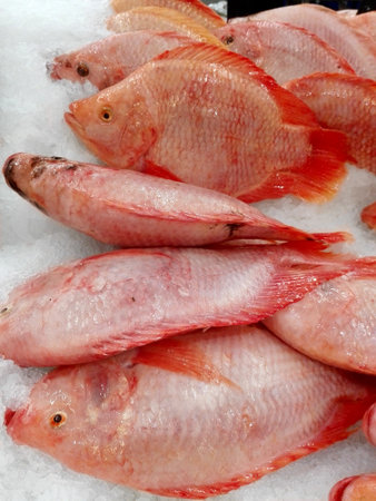 Fresh Nile tilapia fishes ( Oreochromis niloticus ) on ice for sale in the fresh market