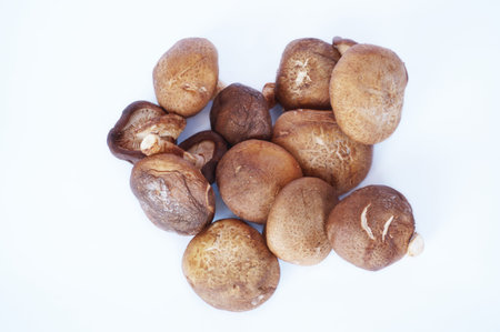 Fresh shiitake mushroom isolated on white backgroundの写真素材