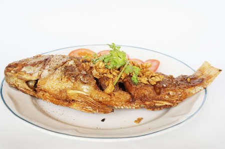 Asia - Asian eating food, Thai food, fried Nile tilapia river fish ( Oreochromis niloticus ) with garlic, coriander, and slice of tomatoes on white plate isolate on white backgroundの写真素材