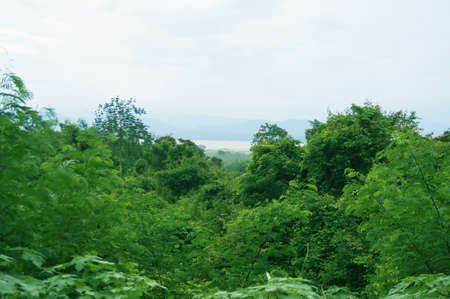 Landscape of natural green forest and blue sky at Huay Mae Khamin Waterfall, Kanchanaburi, western of Thailandの写真素材
