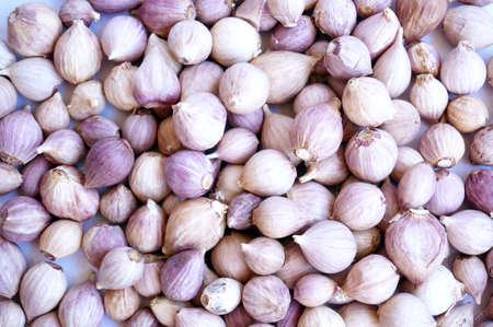 Texture of Garlic cloves isolated on white background, close upの写真素材