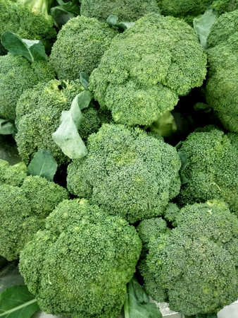 Close up of photo of very fresh colorful broccoli background in  a marketの写真素材
