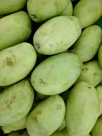 Close up of photo of very fresh green mangoes backgroundの写真素材