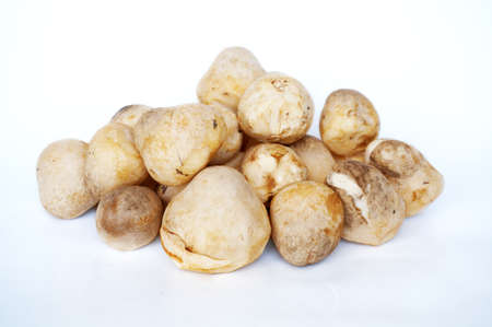 A photo of group of fresh straw mushrooms ( Volvariella volvacea ) isolated on white backgroundの写真素材