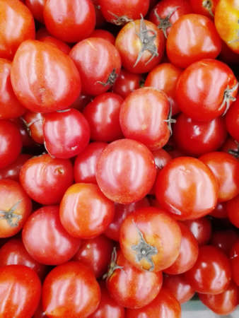 Close up of photo of very fresh colorful tomatoes backgroundの写真素材