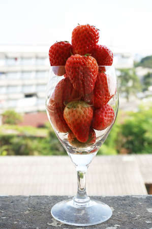 Close up of photo of very fresh harvested strawberries in champagne glass on balcony of an old building with natural backgroundの写真素材