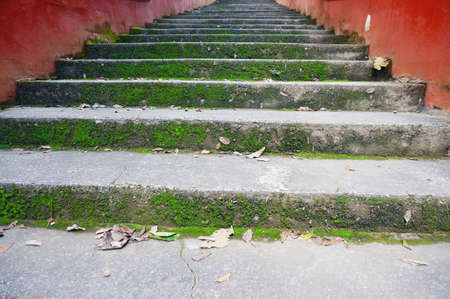 Landscape of mossy stone stairs cover with moss, northern of Thailand の写真素材