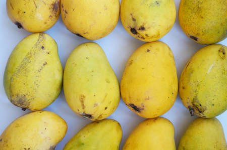 Close up of photo of very fresh ripe mangoes isolated on white backgroundの写真素材