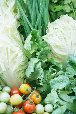 Background of vegatables set - diet food for health - chinese cabbage, white cabbages, spring onion, sprout vegetables, coriander and tomatoesの写真素材