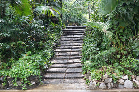 Landscape of old stone stairs in the forest at Dusit zoo public park in Bangkok, Thailand, outdoorの写真素材