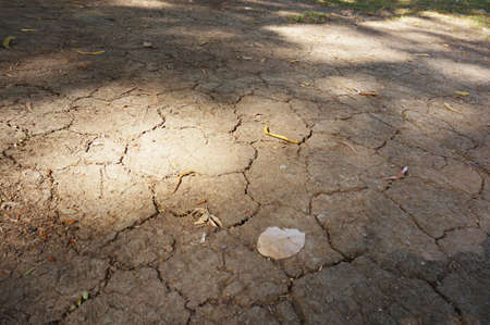 A photo of cracked ground and dry leaves texture and background in nature, close upの写真素材
