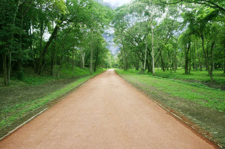 A photo of peaceful asphalt road through the green field cover with trees and clouds on blue sky  in summer day at Si Satchanalai Historical Park, Sukhothai, Thailandの写真素材