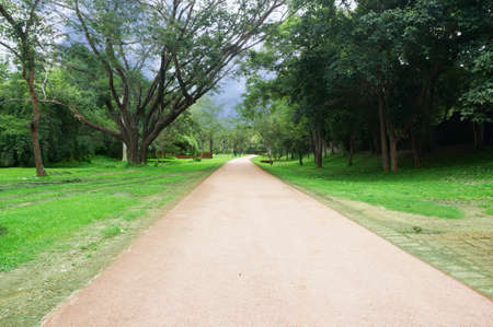 A photo of peaceful asphalt road through the green field cover with trees and clouds on blue sky  in summer day at Si Satchanalai Historical Park, Sukhothai, Thailandの写真素材