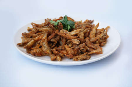 Asia - Asian eating food, Thai food, crispy fried small fish or Anchovy ( Stolephorus ) decorated with coriander on white plate isolated on white background, close upの写真素材