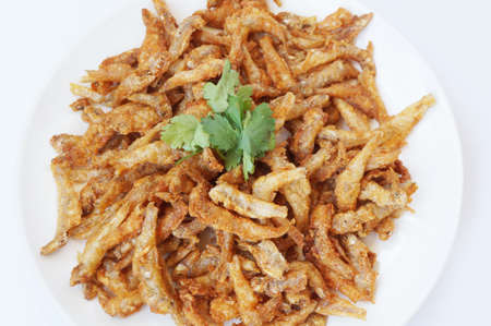 Asia - Asian eating food, Thai food, crispy fried small fish or Anchovy ( Stolephorus ) decorated with coriander on white plate isolated on white background, close upの写真素材