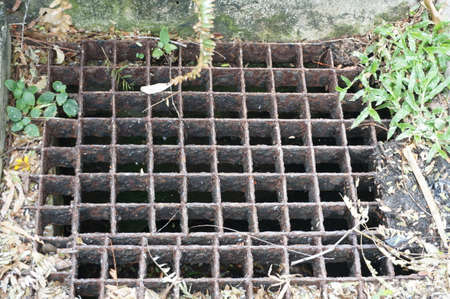 A photo of iron grate of water drain: steel rusty grating in the Grass garden and concrete, close upの写真素材
