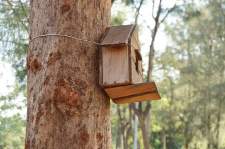 A photo of tree house for the birds: little birdhouse in the park, close upの写真素材