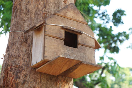 A photo of tree house for the birds: little birdhouse in the park, close upの写真素材