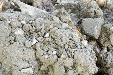 A photo of soil texture and background in nature, close upの写真素材