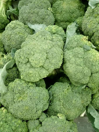 Close up of photo of very fresh colorful broccoli background in  a marketの写真素材